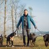 Steve Kaye von Personal Hundecoaching im Interview